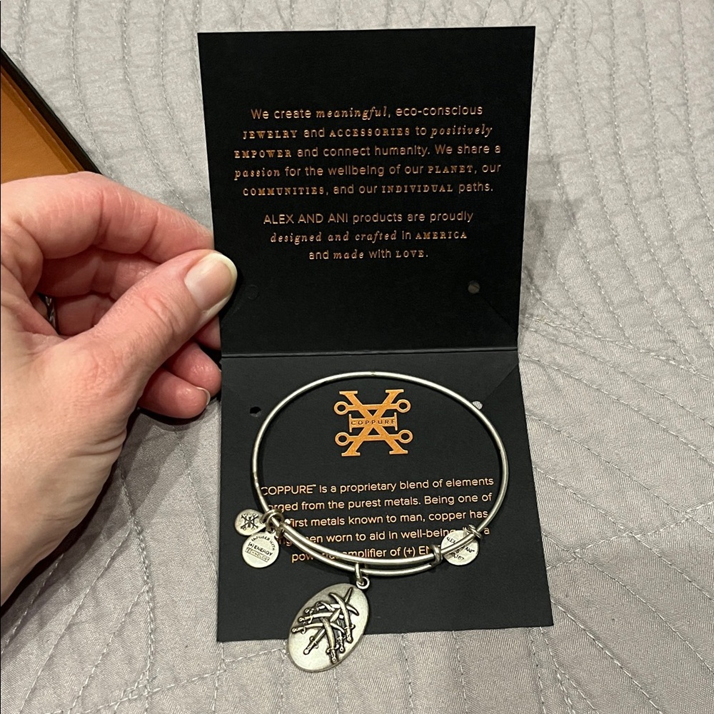 Alex and Ani Seven Swords Bangle